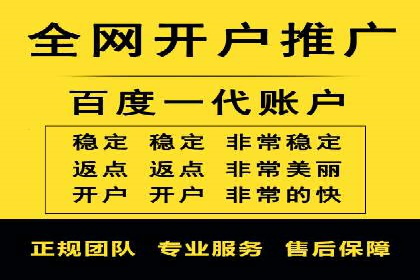 SEM搜索引擎优化成功案例，揭示优化策略与技巧